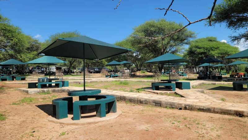 Tarangire & Ngorongoro Crater: 2-Day Shared Safari Adventure - Authentic Encounters and Travel Tips