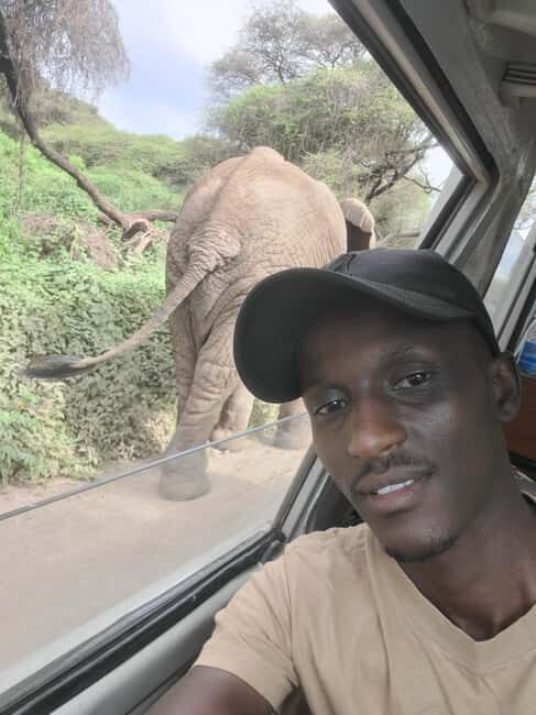 Tarangire & Ngorongoro Crater: 2-Day Shared Safari Adventure - Who Should Consider This Tour?