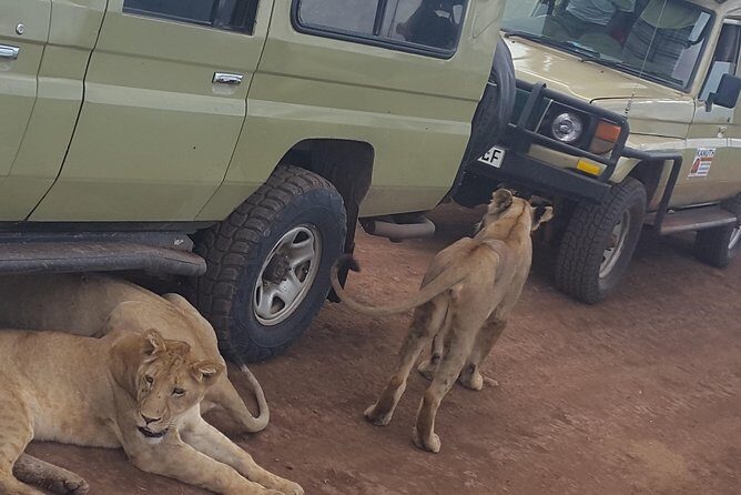 Tarangire -Serengeti & Ngorongoro Crater Budget camping safari - Final Thoughts