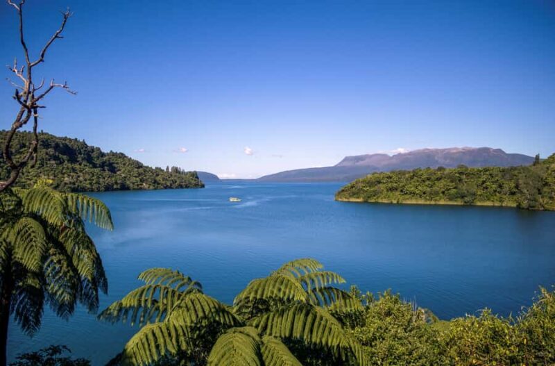 Tarawera and Lakes 2-Hour Duck Eco Tour - An In-Depth Look at the Experience