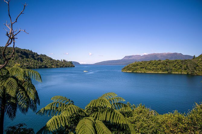 Tarawera and Rotorua Lakes Eco Tour by Boat with Guide - An In-Depth Look at the Tour Experience