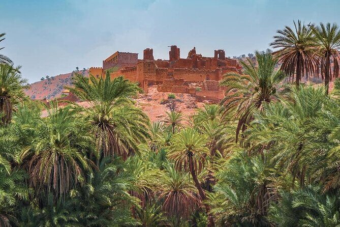 Tardoudant Tiout Oases Explore - Key Points