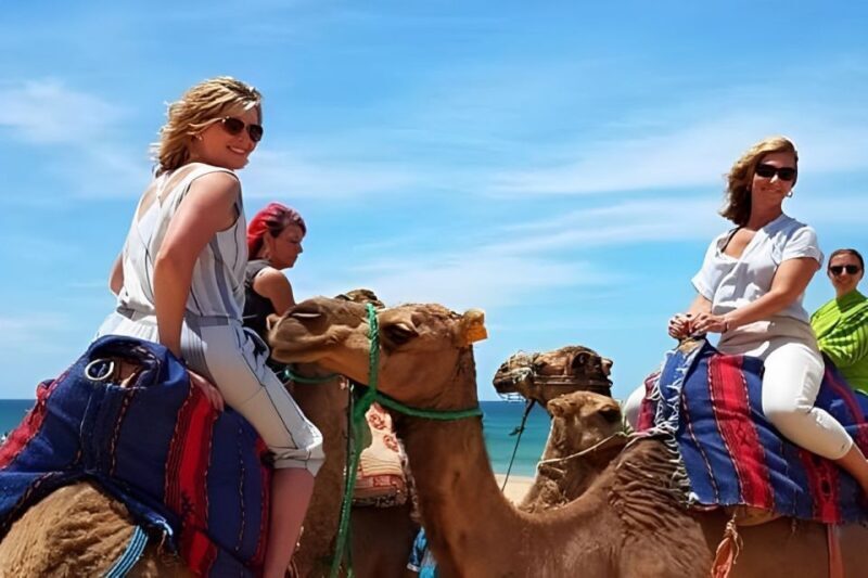 Tarifa/Algeciras: Tangier Private Day Tour with Ferry Ticket - A Deep Dive into the Experience