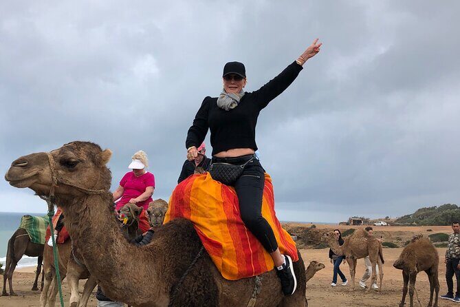 Tarifa to Tangier Tour with ferry ticket , lunch & camel ride - Why Choose the Tarifa to Tangier Tour?