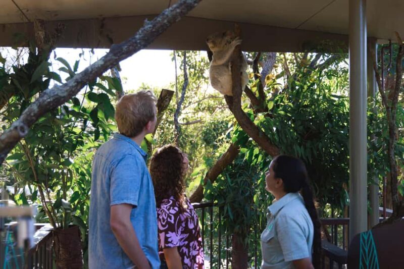 Taronga Zoo Sydney Wild Australia Experience - FAQ
