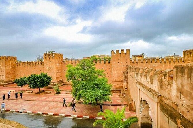 Taroudant and Tiout Oasis Guided Day Trip with Lunch - Key Points