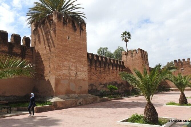 Taroudant and Tiout Oasis Guided Day Trip with Lunch - What Reviewers Love Most