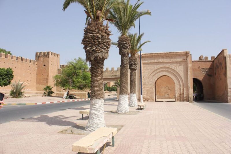 Taroudant and Tiout Oasis Trip With Lunch - The Sum Up