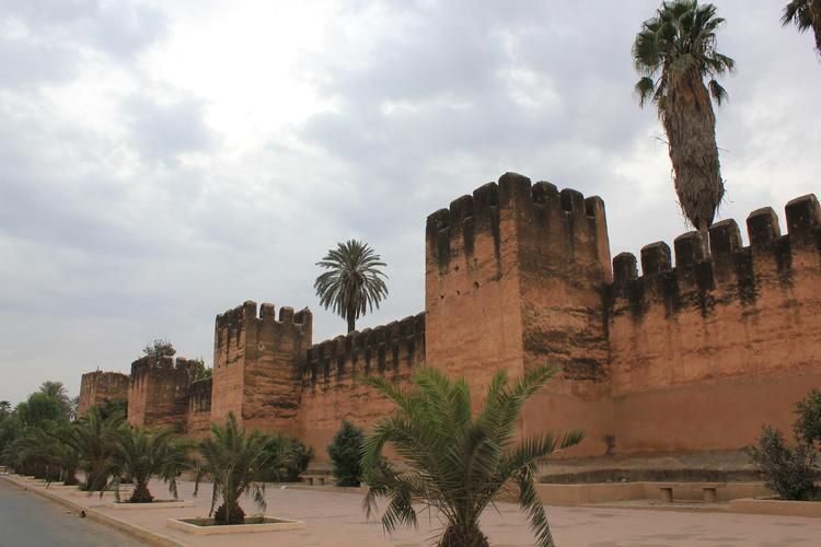 Taroudant and Tiout Oasis Trip With Lunch - The Scenic Drive to Tiout Oasis
