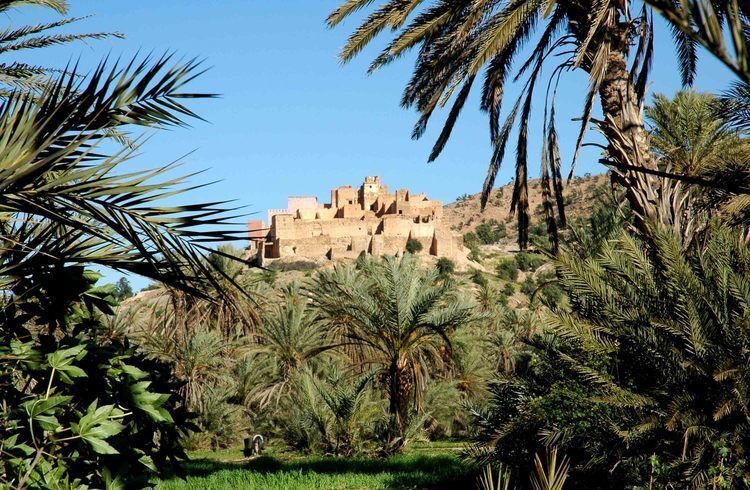 Taroudant and Tiout Oasis Trip With Lunch - The Value of This Tour
