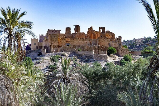 Taroudant and Tiout Oasis with Lunch - Who Should Consider This Tour?