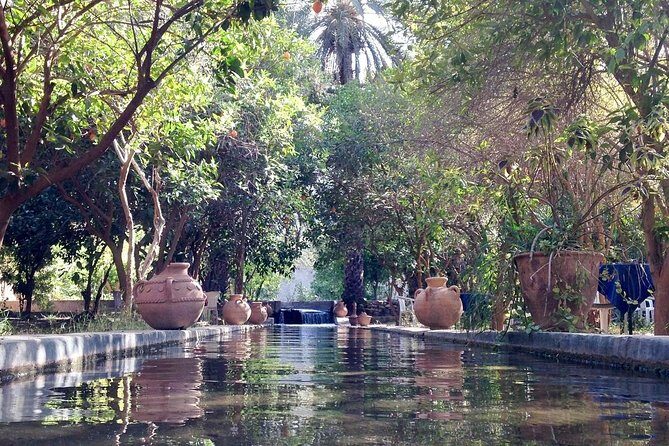 Taroudant the berber city +The Oasis of Tiout village - Practical Details and What to Expect