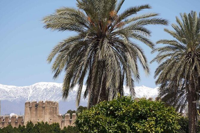 Taroudant The Old Fortified City Private Half Day - Who Will Enjoy This Tour?