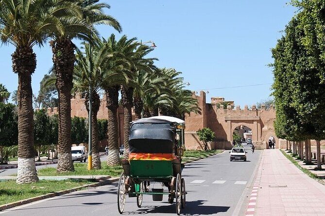 Taroudant & Tiout Day Trip Tour - Transport and Group Size