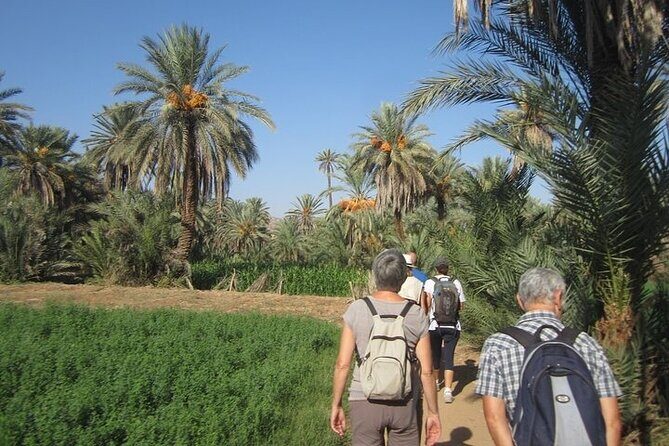 Taroudant & Tiout Day Trip Tour - Authentic Experiences You’ll Cherish