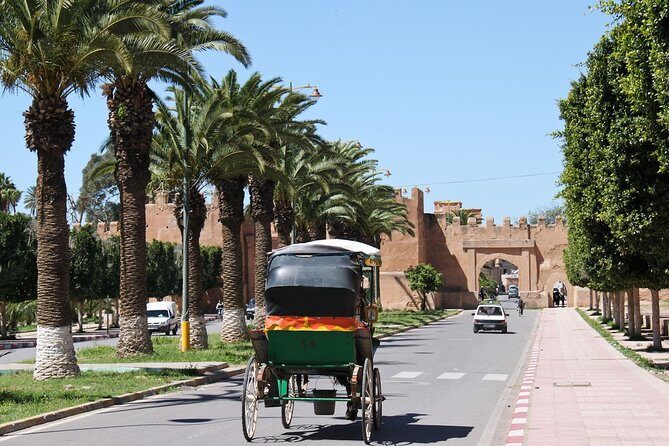 Taroudant + Tiout excursion 1 day with homestay lunch from agadir - Practical Tips for Your Day Trip