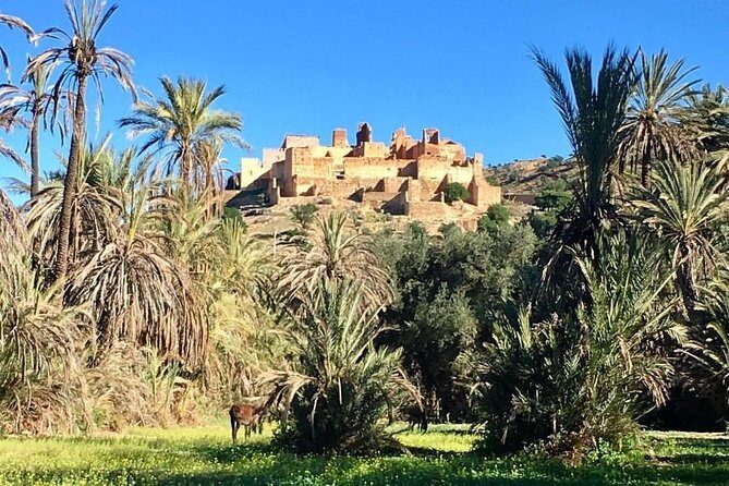 Taroudant Tiout with meal 1 day - Is This Tour Right for You?