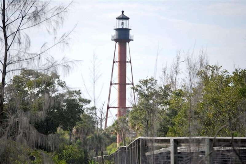 Tarpon Springs: Evening Dolphin Cruise - The Wildlife and Coastal Highlights