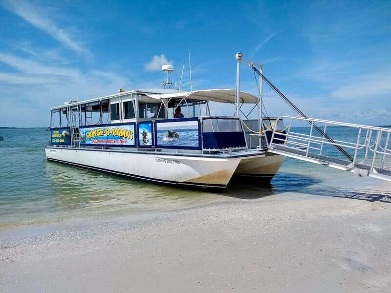 Tarpon Springs: Evening Dolphin Cruise - Who Will Enjoy This Tour?