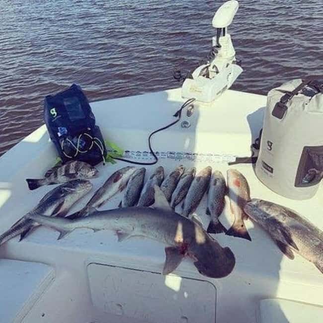 Tarpon Springs: Private Guided Gulf of Mexico Fishing Tour - Analyzing the Value and Practicalities