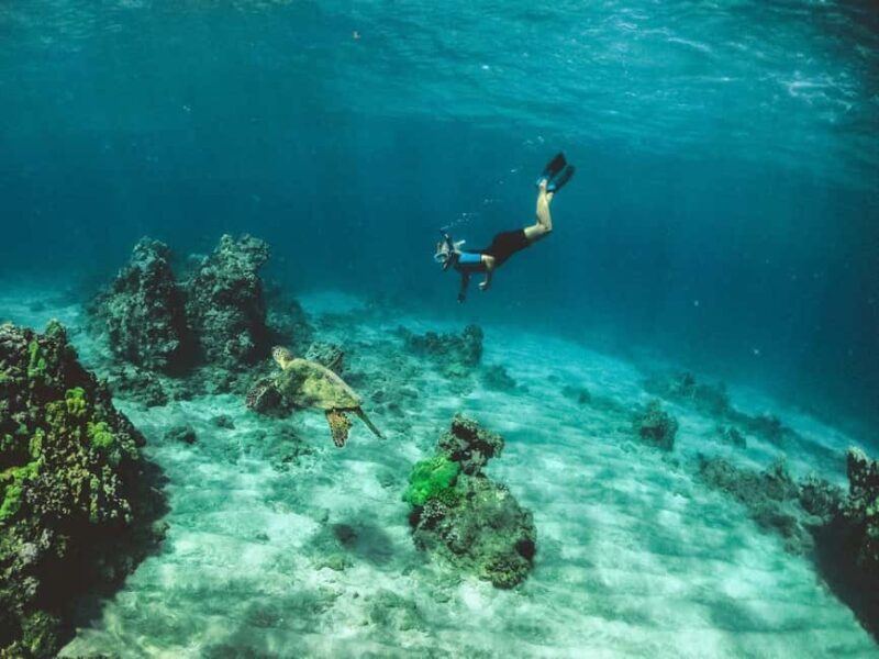 Tarrafal: Snorkeling Trip Along the Coastline - Key Points