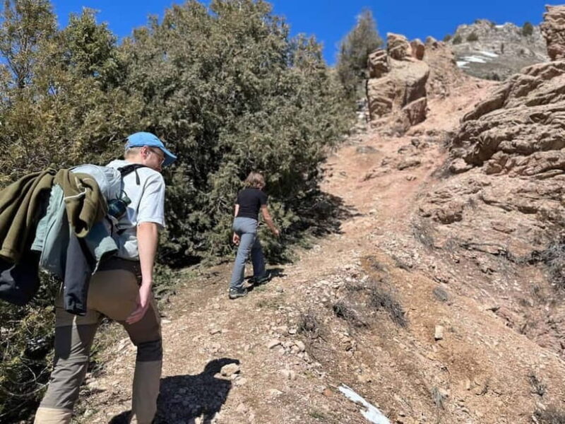 Tashkent Mountain tour - What’s Included and What’s Not?