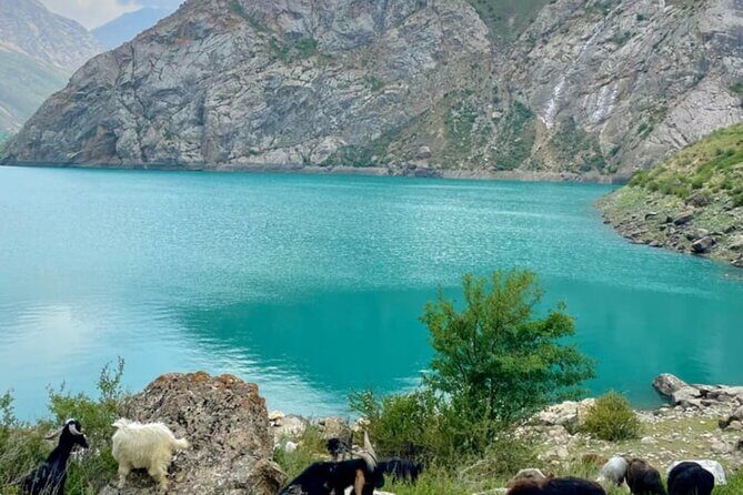 Tashkent Tour at Amirsoy, Chimgan Mountains and Charvak lake - Key Points