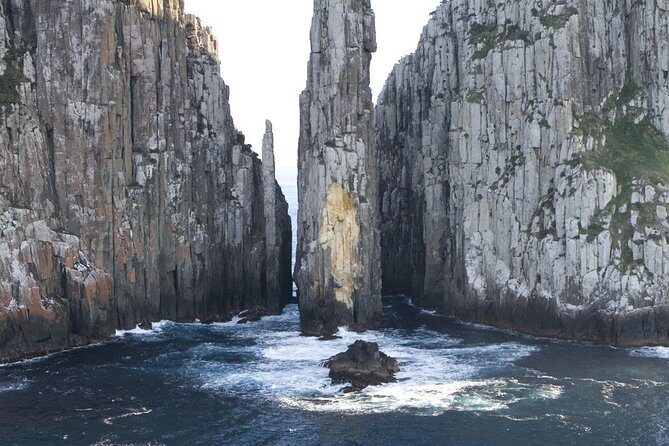 Tasman Island Cruises and Port Arthur Historic Site Day Tour from Hobart - A Day Packed with Diversity and Stunning Views