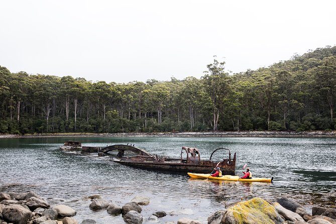 Tasman Peninsula full day kayaking tour - An In-Depth Look at the Experience