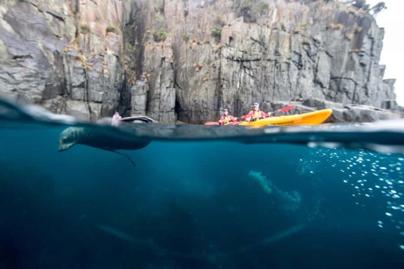 Tasman Peninsula Full-Day Sea Kayak Excursion - The Itinerary and Experience