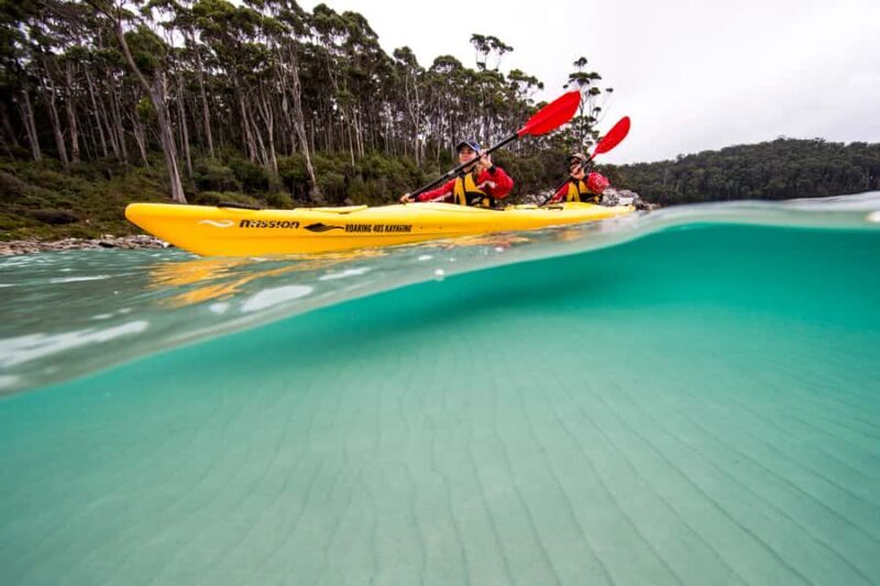 Tasman Peninsula Full-Day Sea Kayak Excursion - Who Is This Tour For?