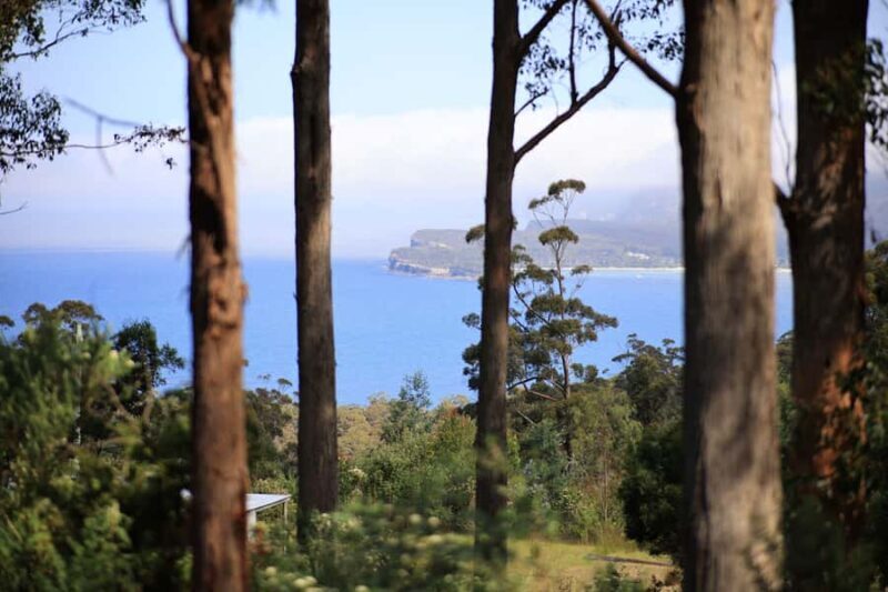 Tasman Peninsula Small-Group Guided Tour From Hobart - Who Will Love This Tour?