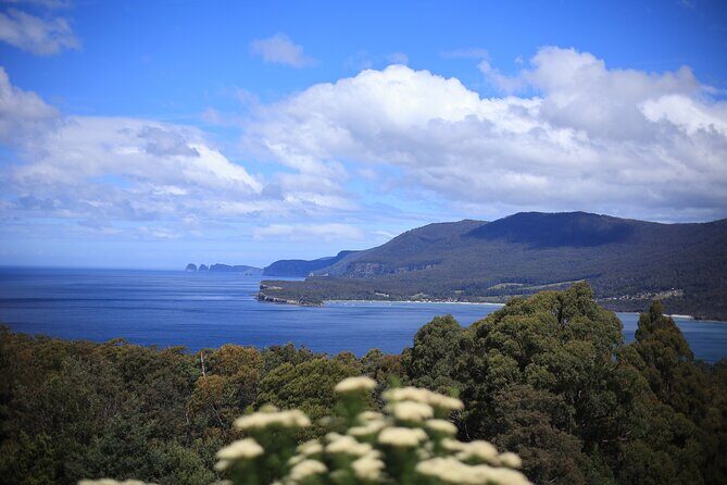Tasman Peninsula Small-Group Guided Tour From Hobart - A Deep Dive into the Itinerary