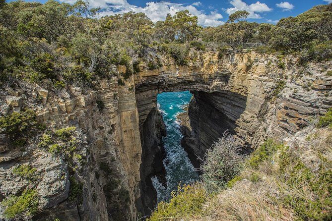 Tasman Peninsula Wilderness Cruise from Port Arthur - Who Should Consider This Tour