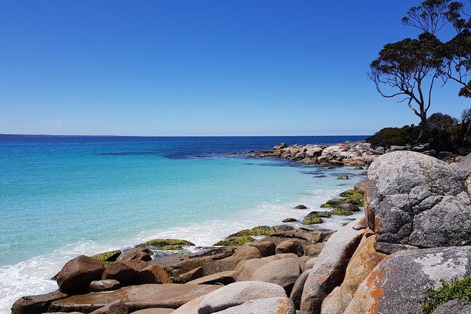 Tasmania 5 Day East Coast Tour - Key Points