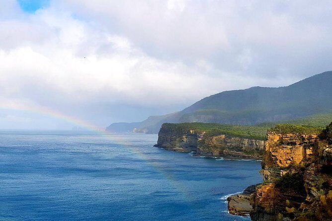 Tasmania 5 Day East Coast Tour - Day 4: Wildlife, Coastlines, and Gastronomy