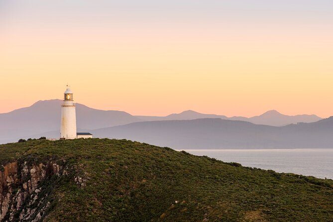 Tasmania 8 Day - Tour in Circle - Making the Most of Your Tasmanian Adventure
