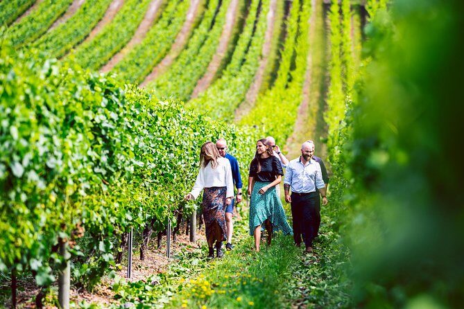 Tasmanian Premium Wine Tour with Tasmanian Cheese Platter - A Deep Dive into the Tasmanian Premium Wine Tour Experience