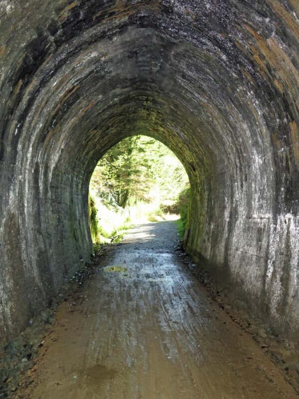 Tasman's Great Taste Trail: Spooner's Tunnel to Thunanui - Food and Drink Experiences