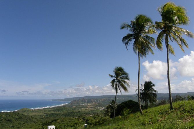 Taste of Barbados Full-Day Sightseeing tour - Who Should Consider This Tour?