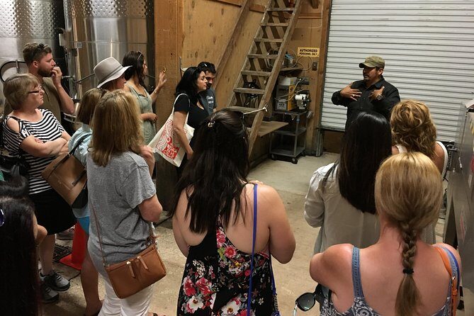 Taste of Fredericksburg Small-Group Wine Tour from San Antonio - What the Tour Includes and What to Consider