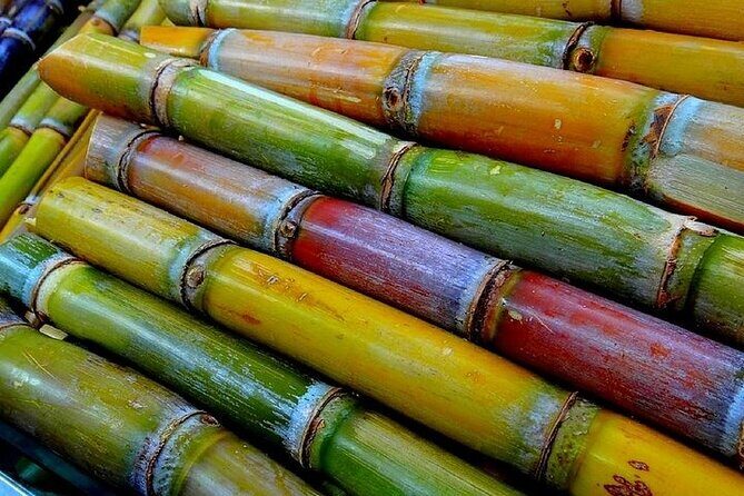 Taste of Grenada: Rum Hopping & Lunch - Key Points