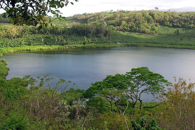 Taste of Grenada: Rum Hopping & Lunch - The Sum Up: Why This Tour Offers Genuine Value
