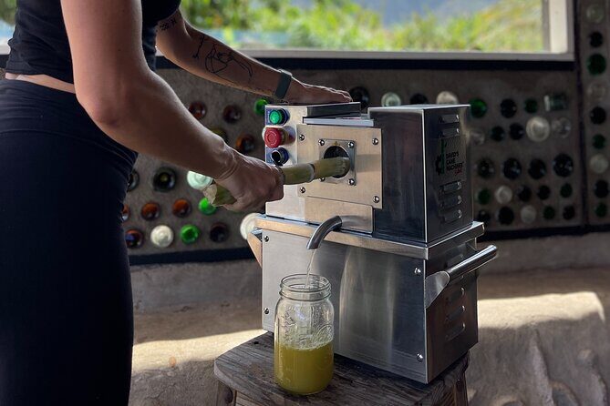 Taste of Hawaii: A Maui Farm Tour - Analyzing the Value