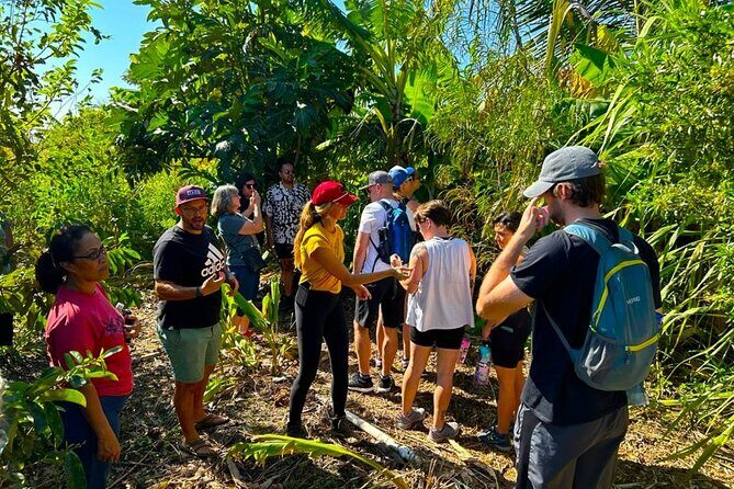 Taste of Hawaii: A Maui Farm Tour - The Sum Up