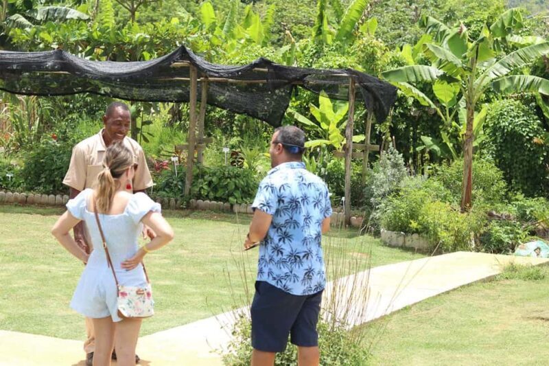 Taste of Jamaica Farm & Food Tour - A Deep Dive into the Experience