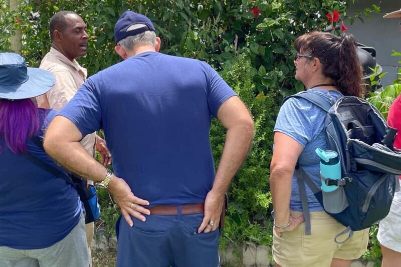 Taste of Jamaica Farm & Food Tour - What Past Travelers Say