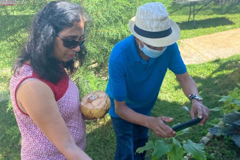 Taste of Jamaica Farm & Food Tour - The Sum Up