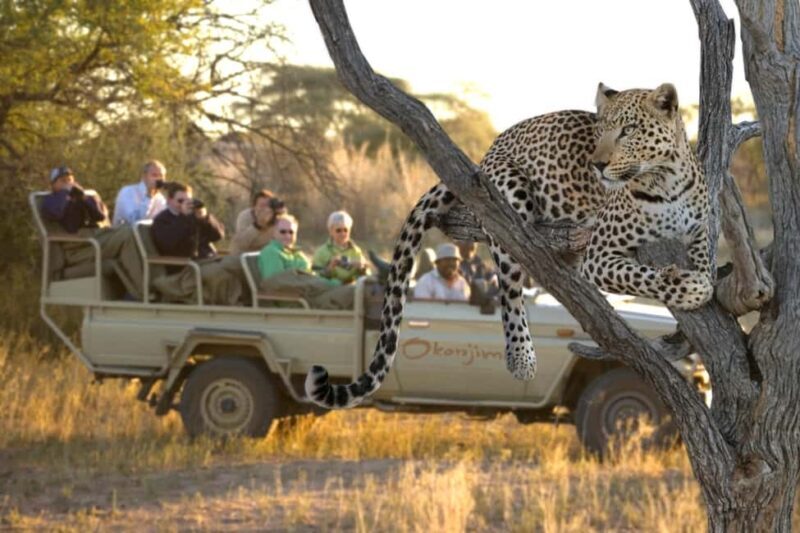 Taste of Namibia Adventure Tour - Namibia’s Wild Heart: A Detailed Review of the Taste of Namibia Adventure Tour