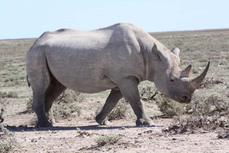 Taste of Namibia Adventure Tour - The Sum Up: Is This the Right Trip for You?